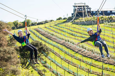 zipline EcoZip waiheke island