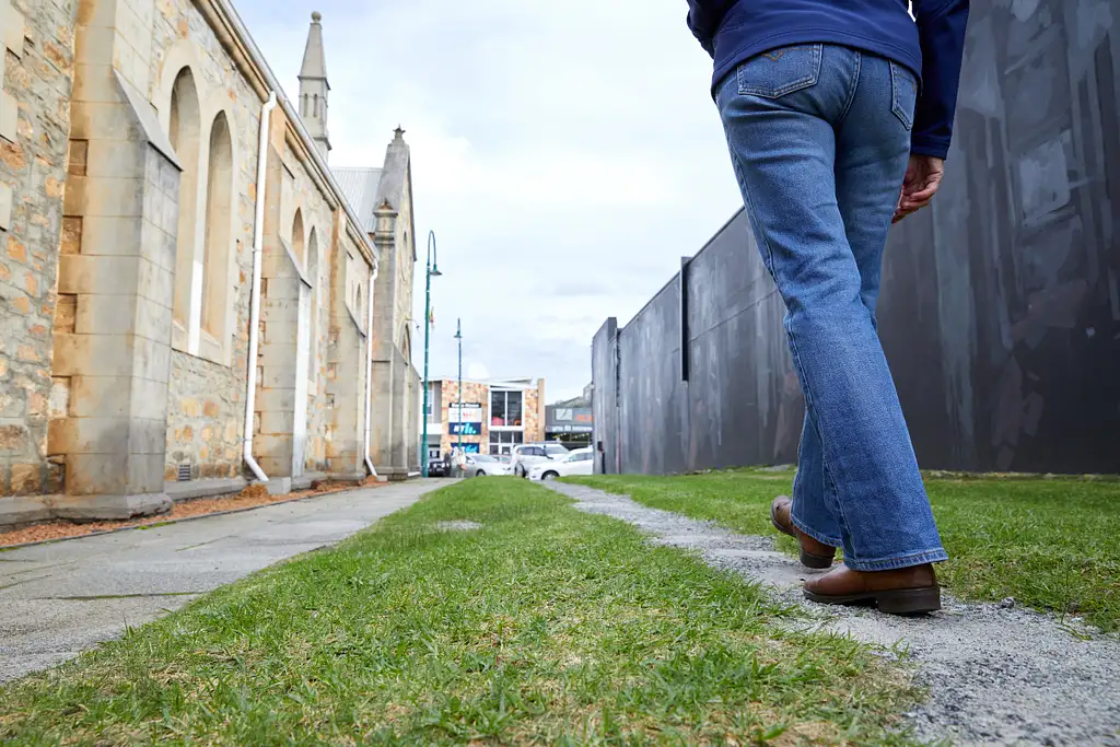 About Albany: An Insider's View
