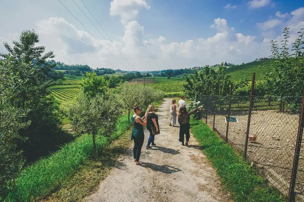 Prosecco Wine Tour From Venice