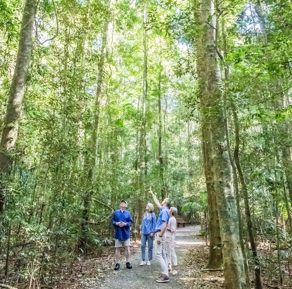 Sunshine Coast Hinterland Culinary Experience | Discover Montville & Malany