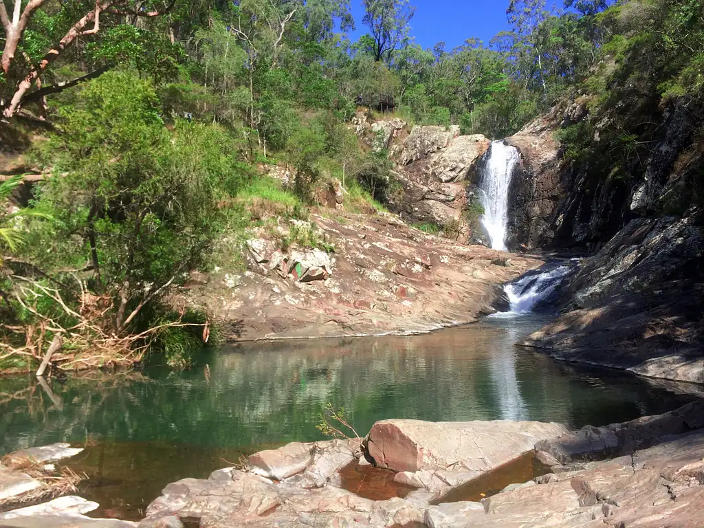 Mt Tamborine Hop on Hop Off Bus | From Brisbane or Gold Coast