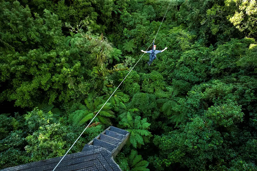 The Original Canopy Tour