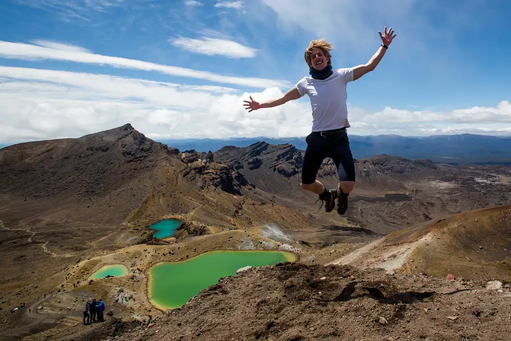 7 Day Coasts & Culture Tour | Wellington to Auckland | Haka Tours