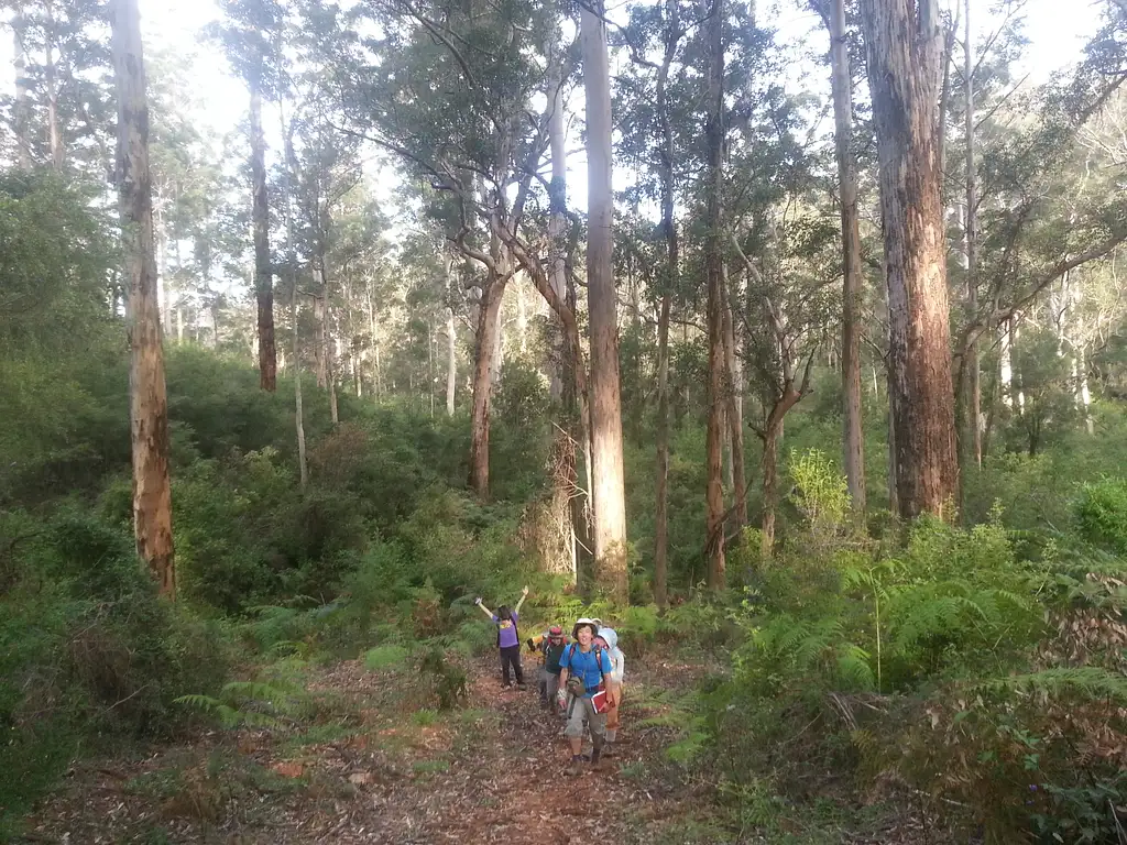 Granite Skywalk in the Porongurup National Park