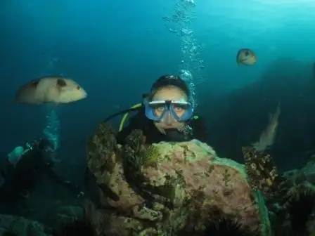 Canterbury Wreck and Reef Dive