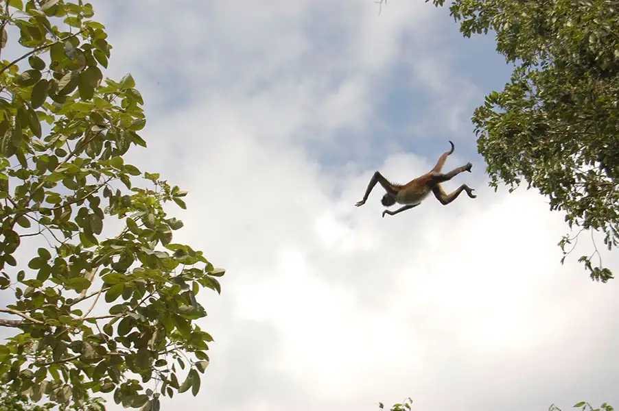 Mayan Inland Expedition | Group & Private options