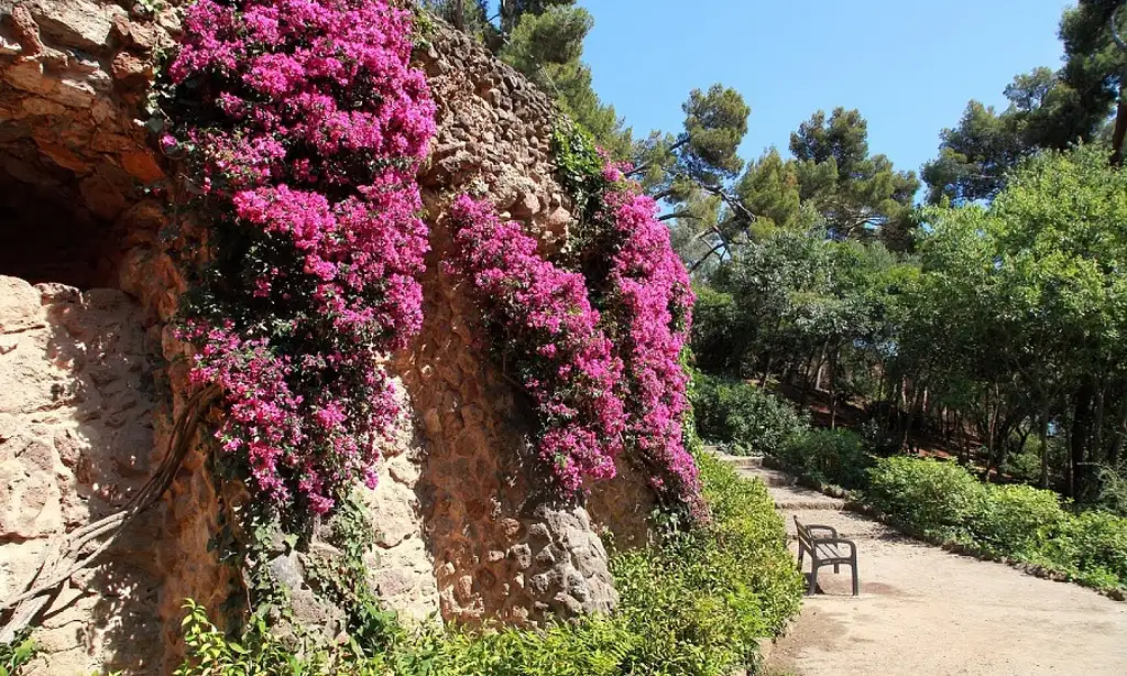 Park Güell Skip-The-Line Ticket And Guided Tour