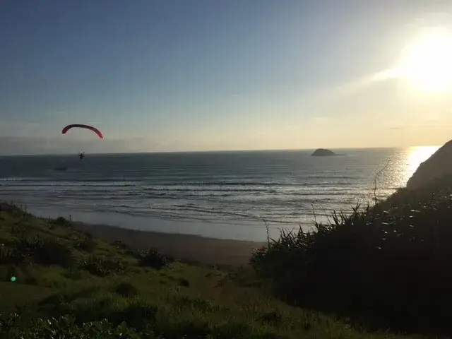 Muriwai Beach & Gannet Eco Tour | Private Tour