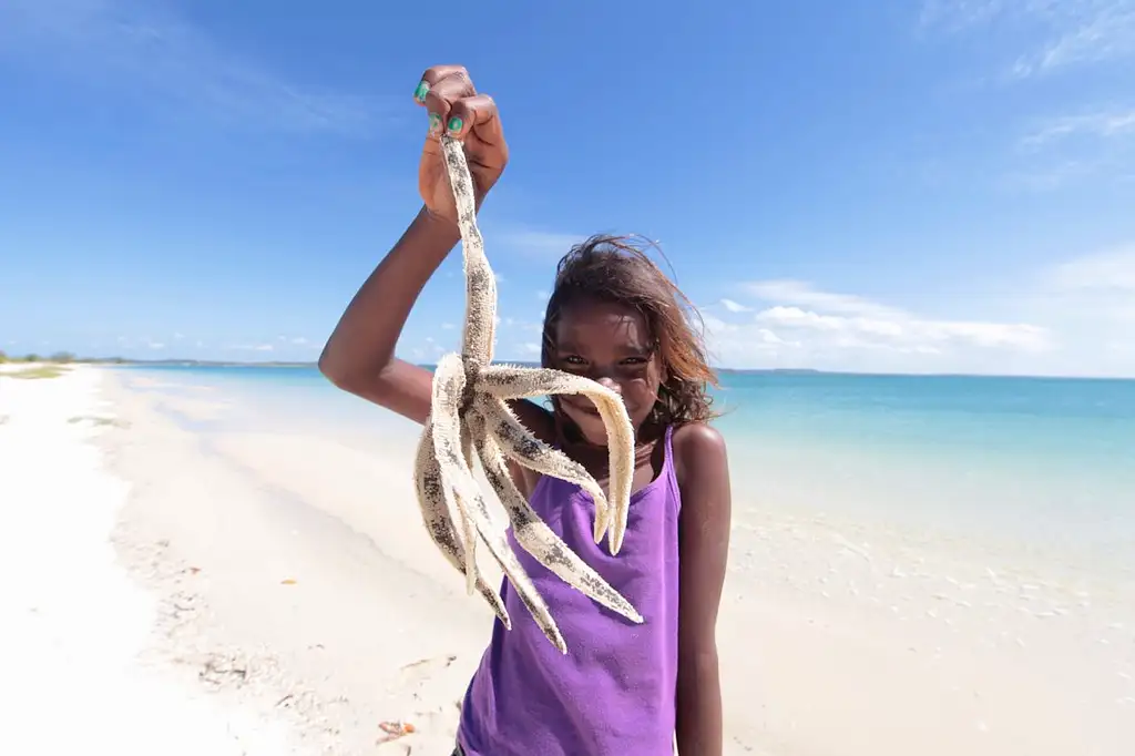 Gove Gululu Day Tour - East Arnhem Land