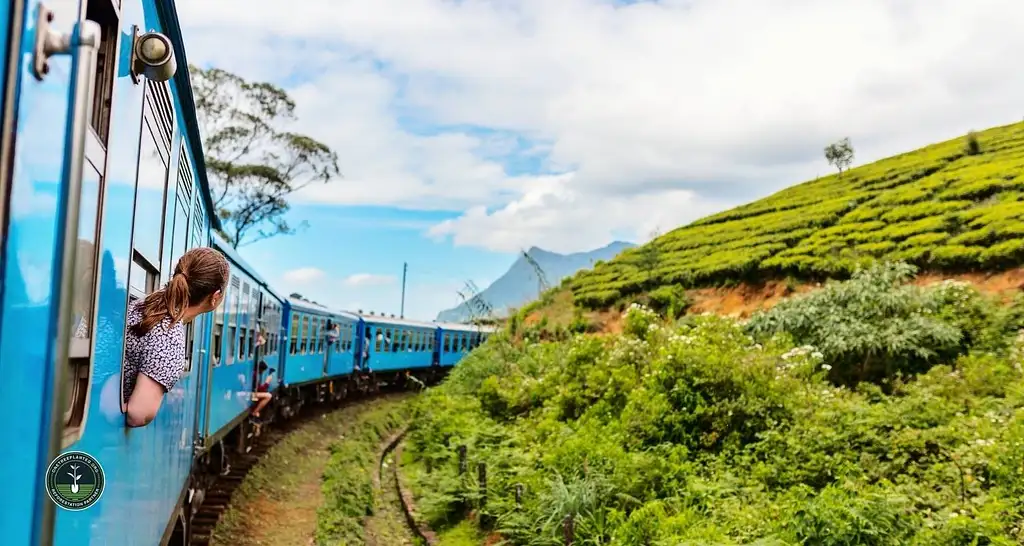 12 Day Tour Sri Lanka Classic Negombo to Colombo | One Life Adventures