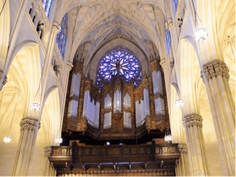 St Patrick's Cathedral Official Tour