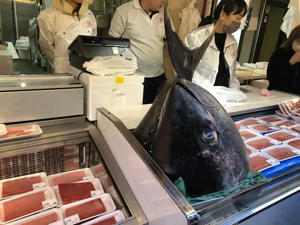 Tsukiji Outer Market Seafood Breakfast Tour