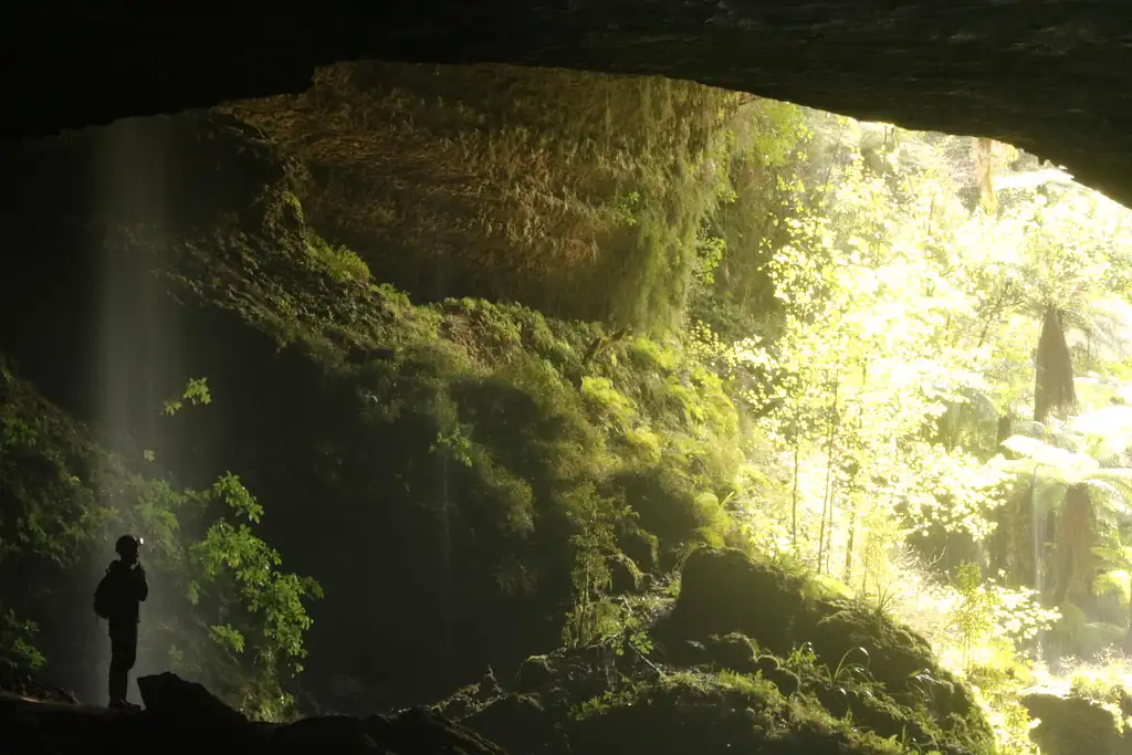 Glow Worm Cave Tour | West Coast