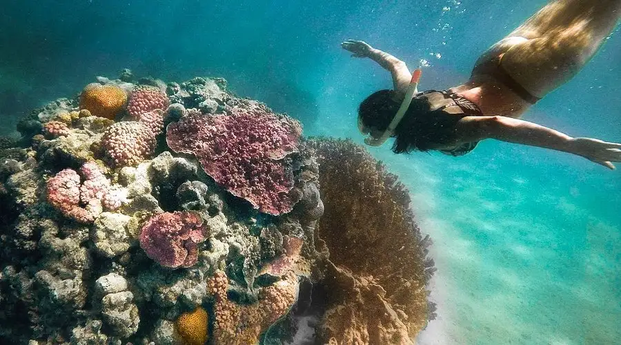 7 Day Perth to Exmouth & Return | Adventure Tours Australia