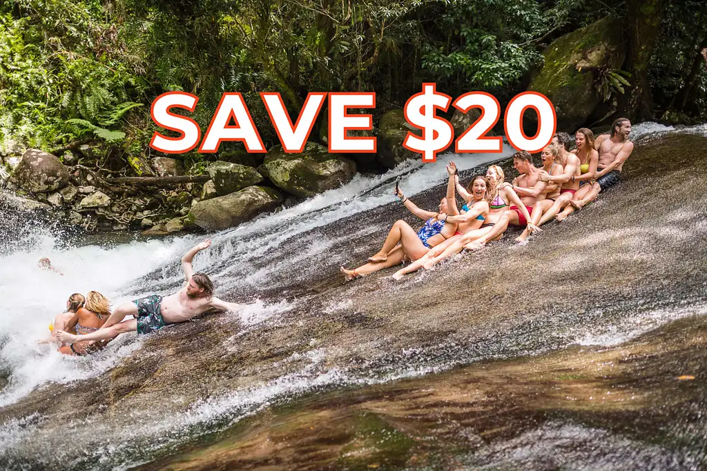 Uncle Brian's Waterfalls and Rainforest Tour