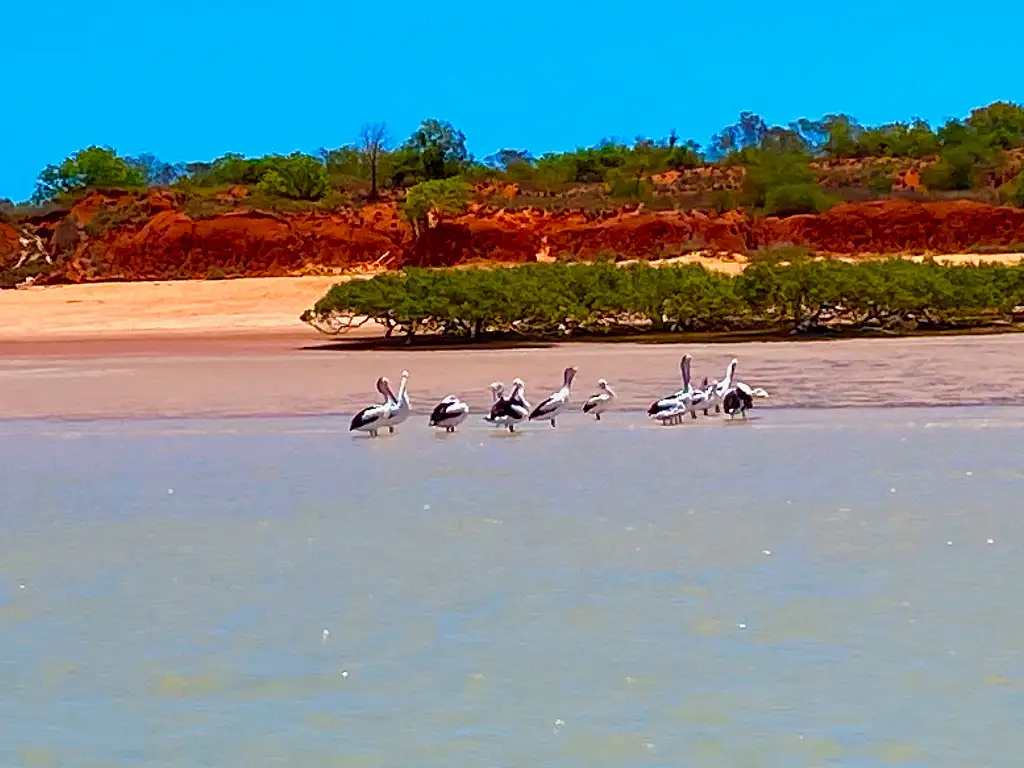 Scenic and Prehistoric Cruise