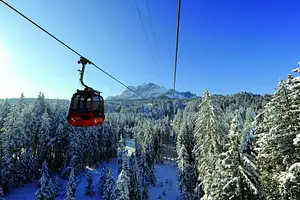 Mt. Pilatus Self-guided Trip by Cable Car from and to Kriens