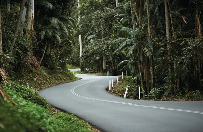 Scenic Rim Glow Worm Tour -  Brisbane Pickup