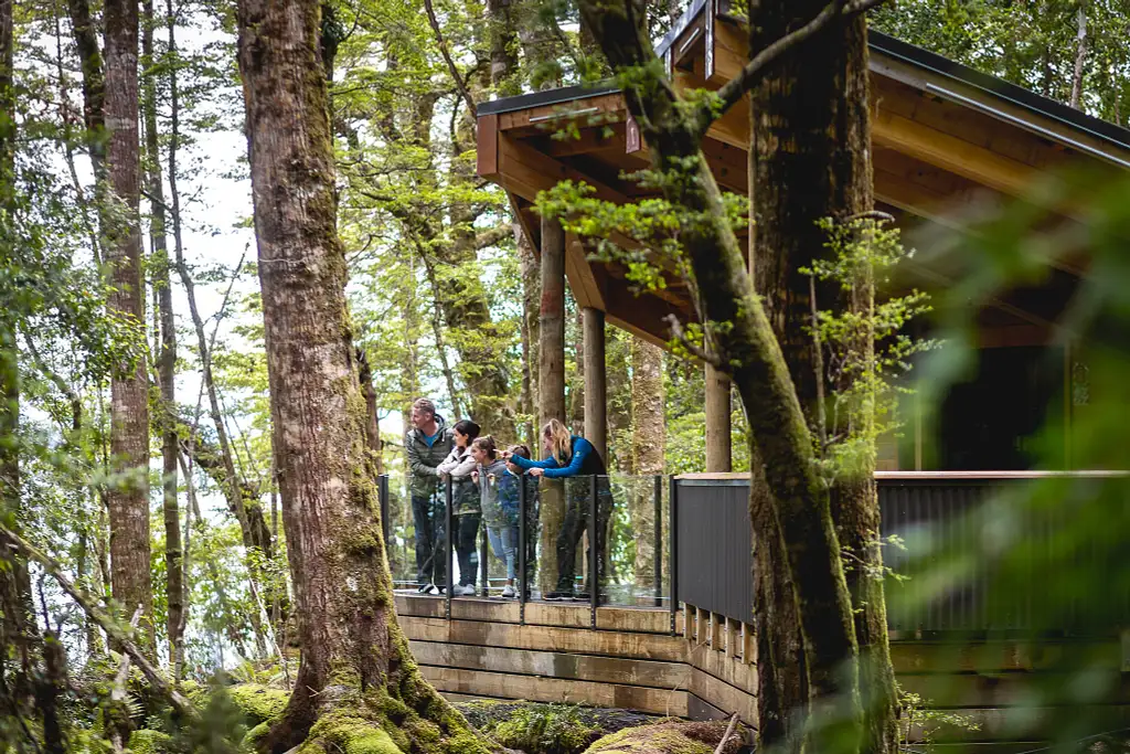 Te Anau Glowworm Cave Tour