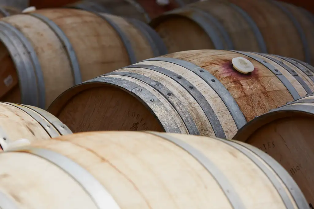 Premium Vineyard Wine & Food Tour - Margaret River
