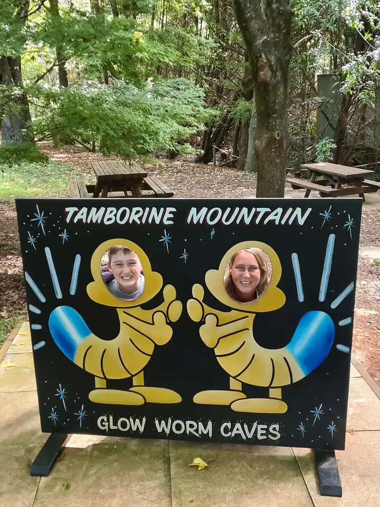 Explore Mt Tamborine Day Tour