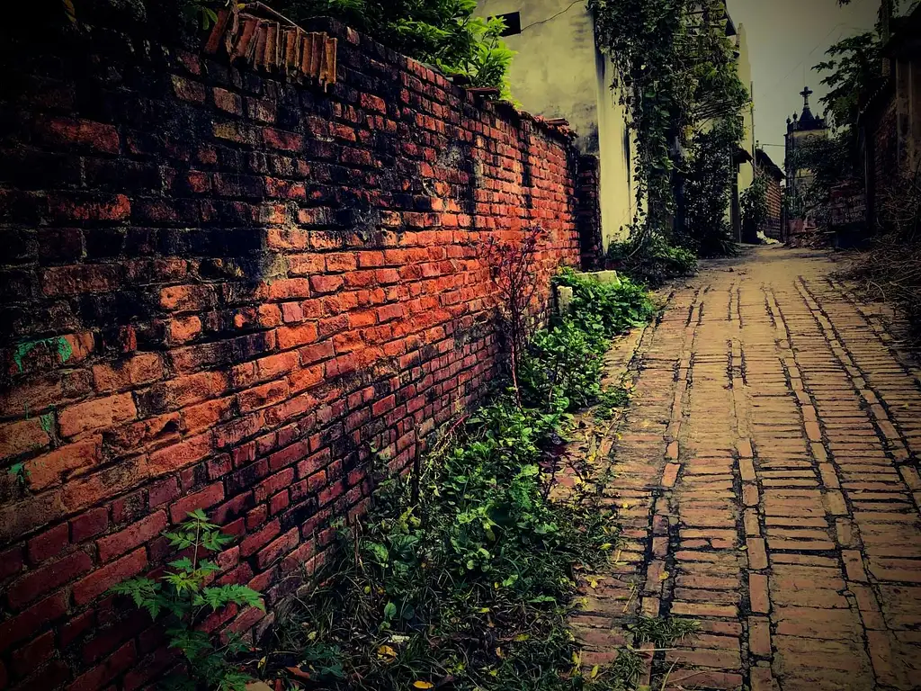 Full-day Duong Lam Ancient Village Tour | From Hanoi | Private Tour