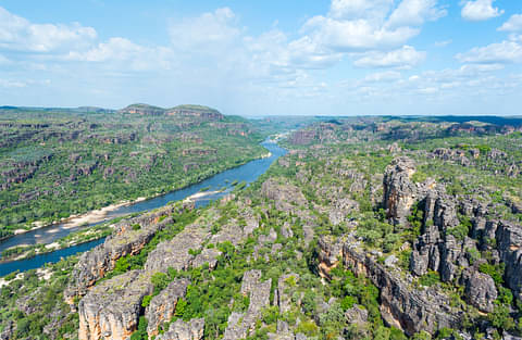 Kakadu in a Day Flight Tour deals