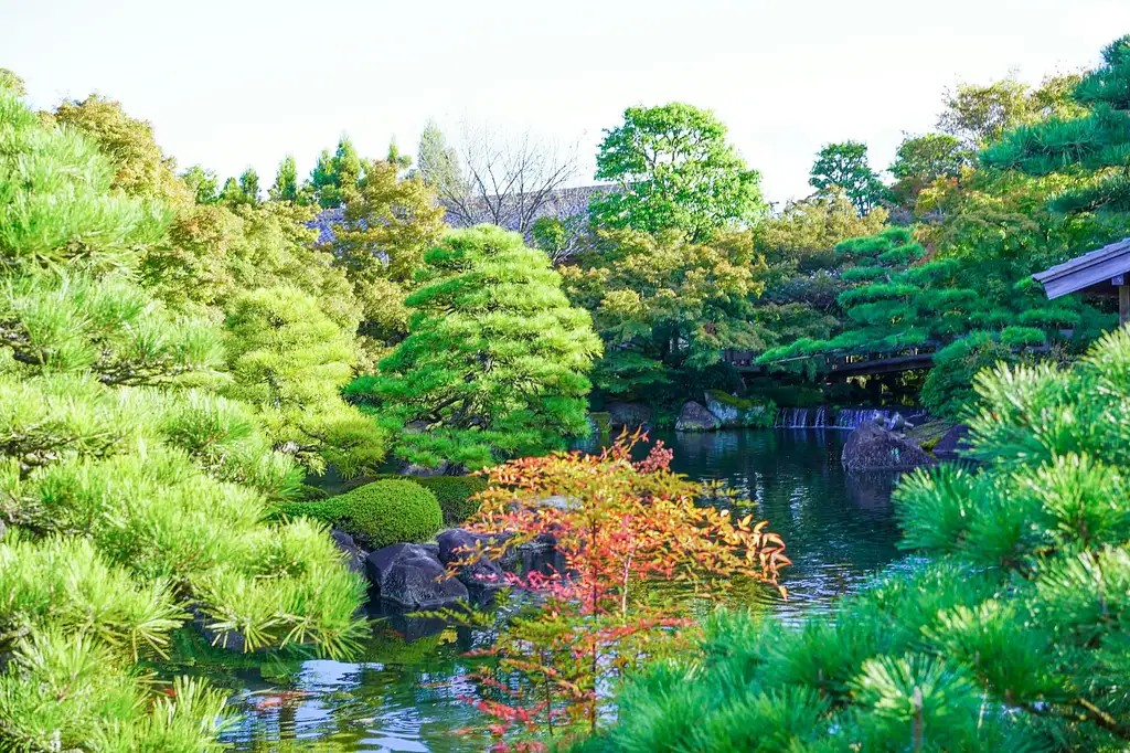 Himeji Castle Town Guided Bike Tour With Lunch | Half-day