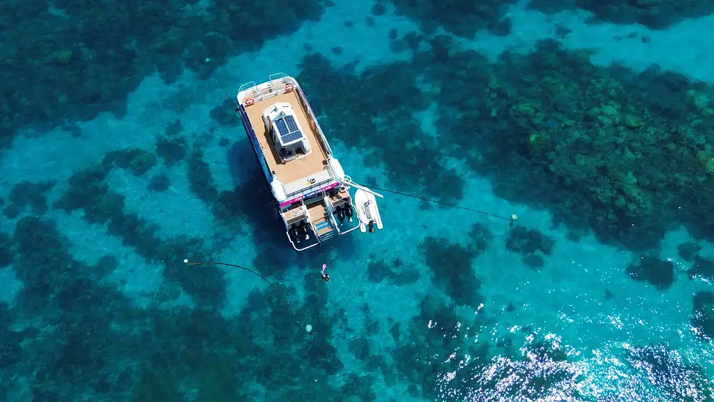 Half Day Snorkelling Great Barrier Reef From Cairns | Escape the Crowds!