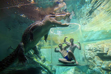 Crocosaurus Cove Entry & Cage of Death for 2 People