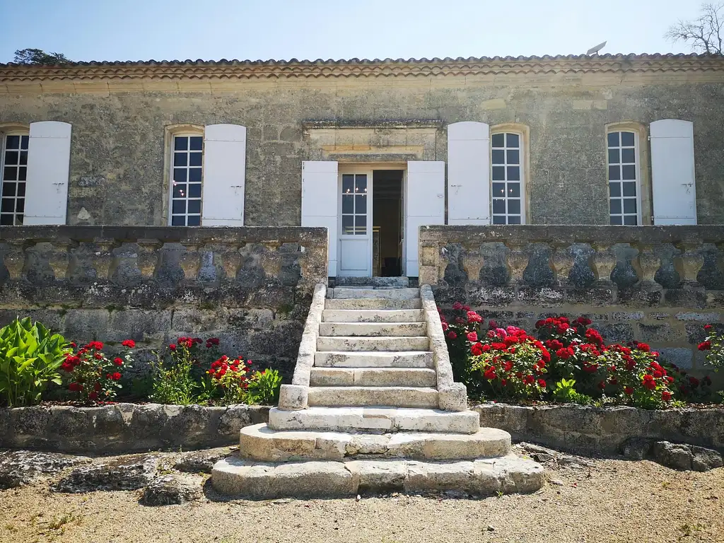 Grand Cru Chateau and Saint-Emilion Village Half Day Guided | From Bordeaux