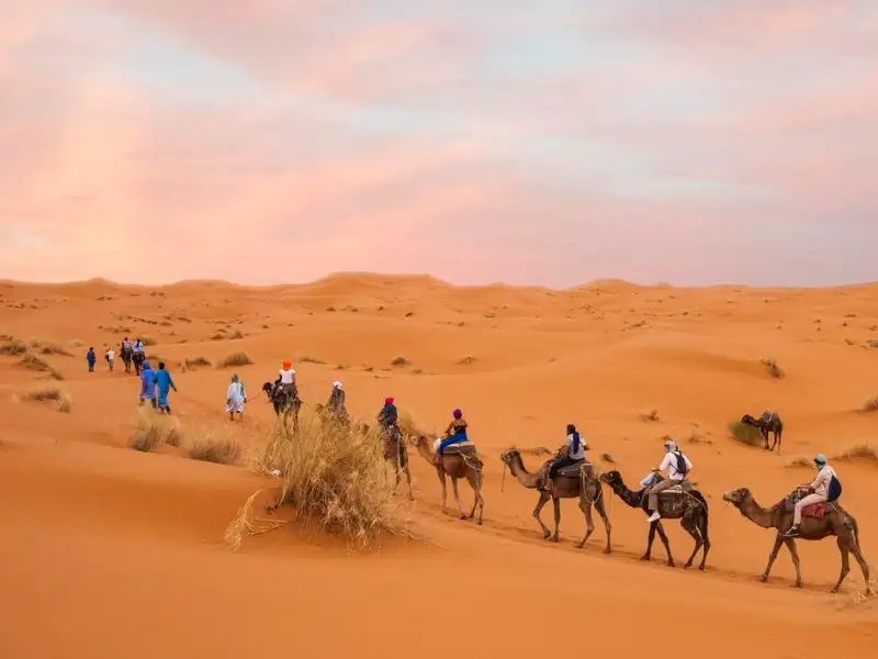 8 Day Morocco Kasbahs & Desert Tour | G Adventures