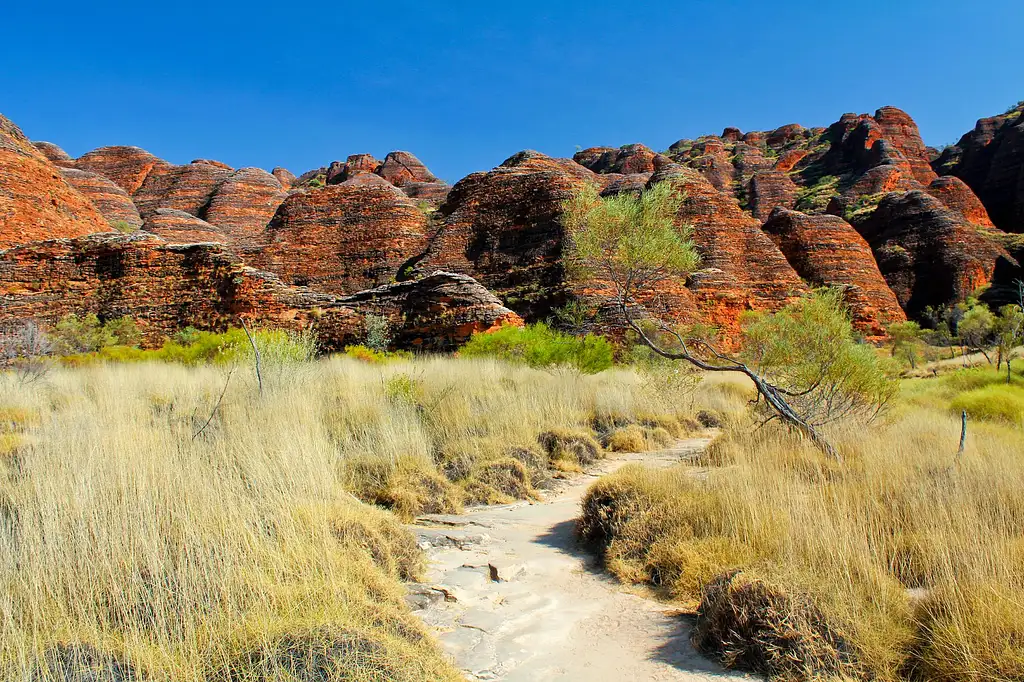 Bungle Bungle Explorer Day Tour With Scenic Flights