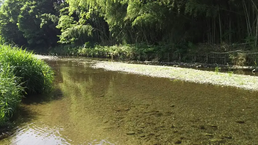 Cycling Tour in Hinode-machi, Tokyo