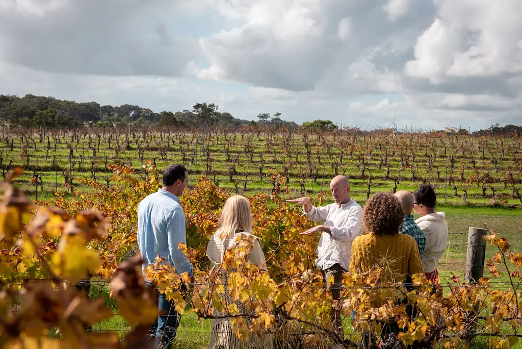Hidden Gems - Wine, local produce & Nature Tour | Full Day Tour