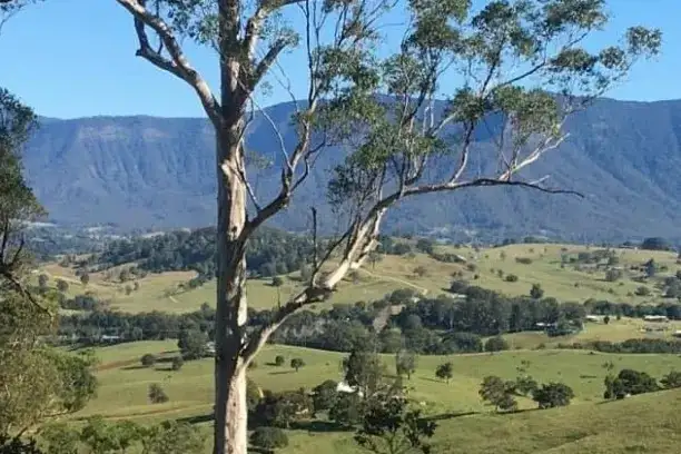 Indigenous Yarning Tour | Tweed Heads