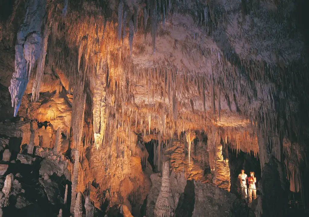 Full Day Margaret River Tour From Perth | Lunch Included