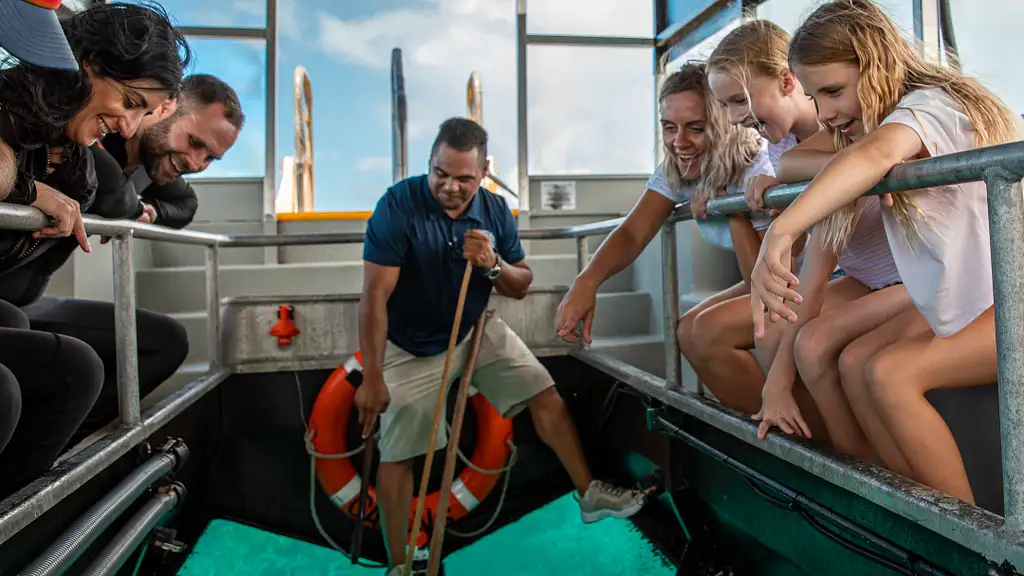 Cairns to Great Barrier Reef Cruise | Reef Magic Cruises