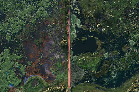 Fogg Dam Conservation Reserve Tourism NT-Jarrad Seng 126577-56.jpg