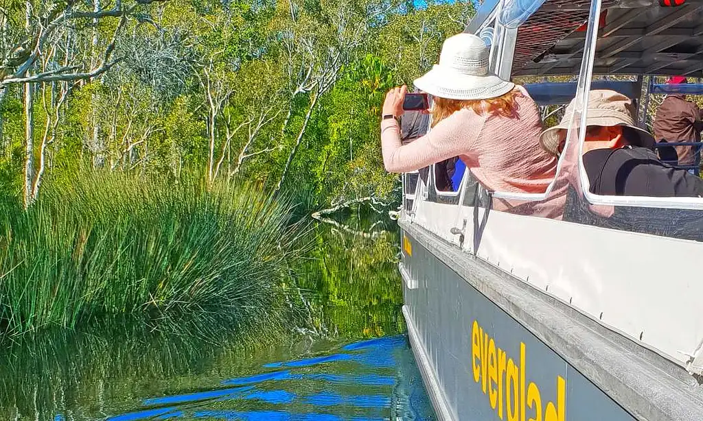 Noosa Everglades Cruise & Highlights with Lunch | Private Tour