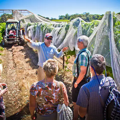 perth to margaret river wine tours