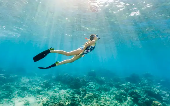 Your Guide To The Great Barrier Reef
