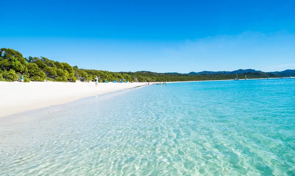 3 Day 2 Night Whitsunday Sailing Adventure | on Apollo