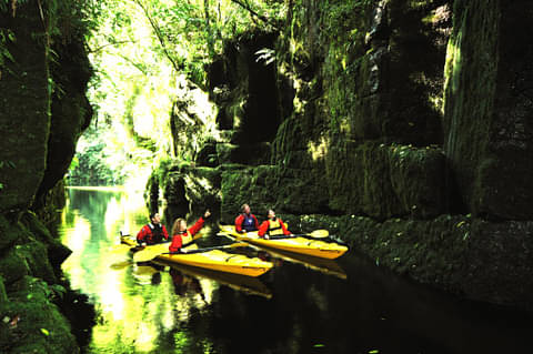 New Zealand kayak tours