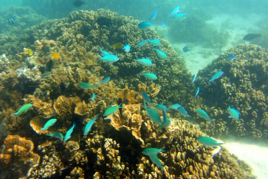 9 Day Perth To Broome Adventure