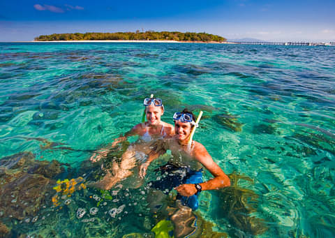 Green Island Reef Cruises Deals