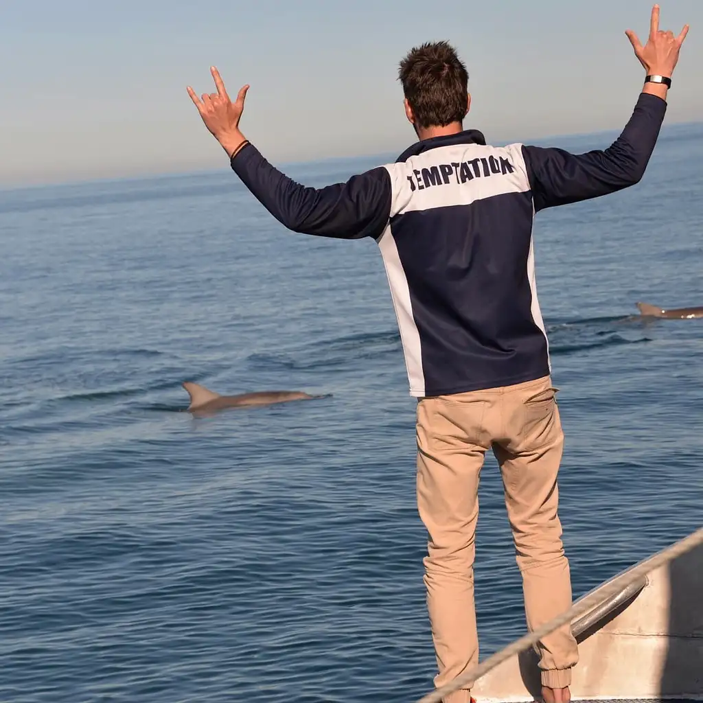 Wild Dolphin Watch from Adelaide