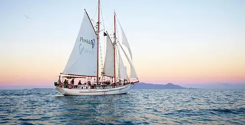Whitsundays Sunset Sail