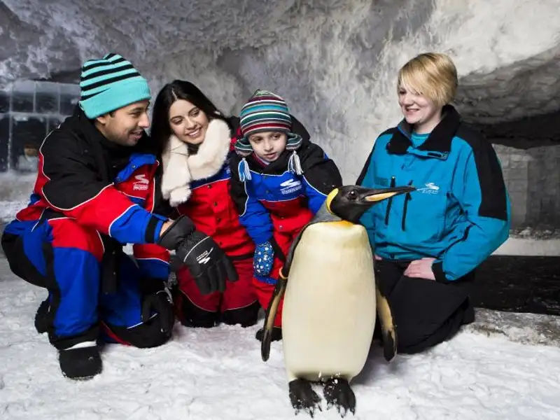 Ski Dubai Super Pass