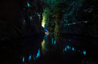 Evening Glow Worm Kayak Tour